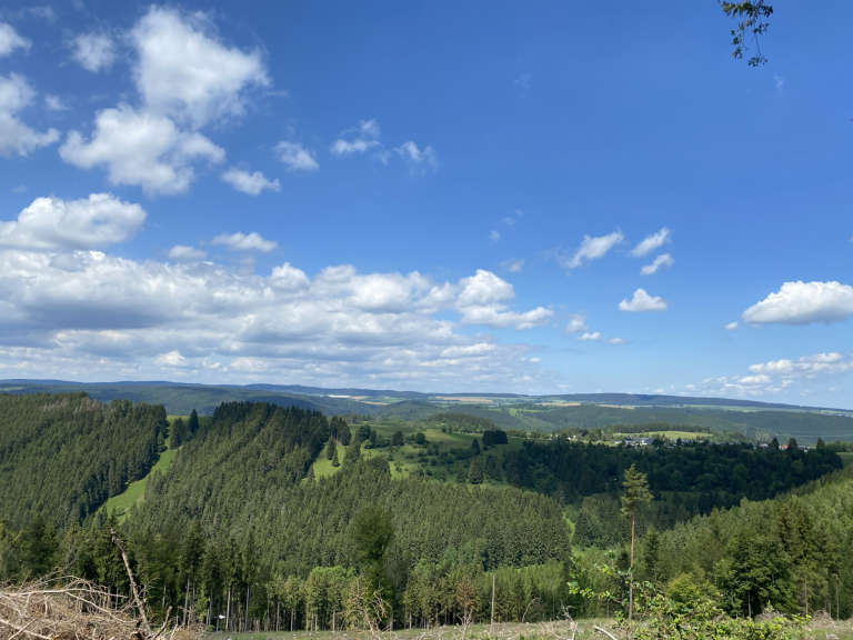 Aussicht vom Rosenberg Aussicht vom Rosenberg